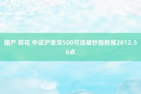 国产 探花 中证沪港深500可选破钞指数报2812.56点