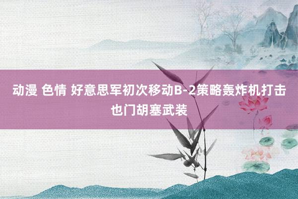 动漫 色情 好意思军初次移动B-2策略轰炸机打击也门胡塞武装