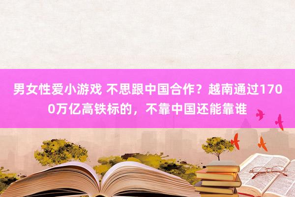 男女性爱小游戏 不思跟中国合作？越南通过1700万亿高铁标的，不靠中国还能靠谁