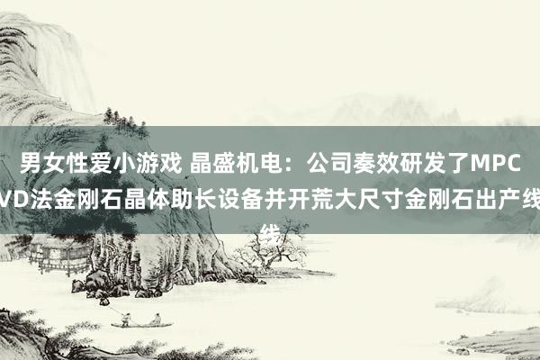 男女性爱小游戏 晶盛机电：公司奏效研发了MPCVD法金刚石晶体助长设备并开荒大尺寸金刚石出产线